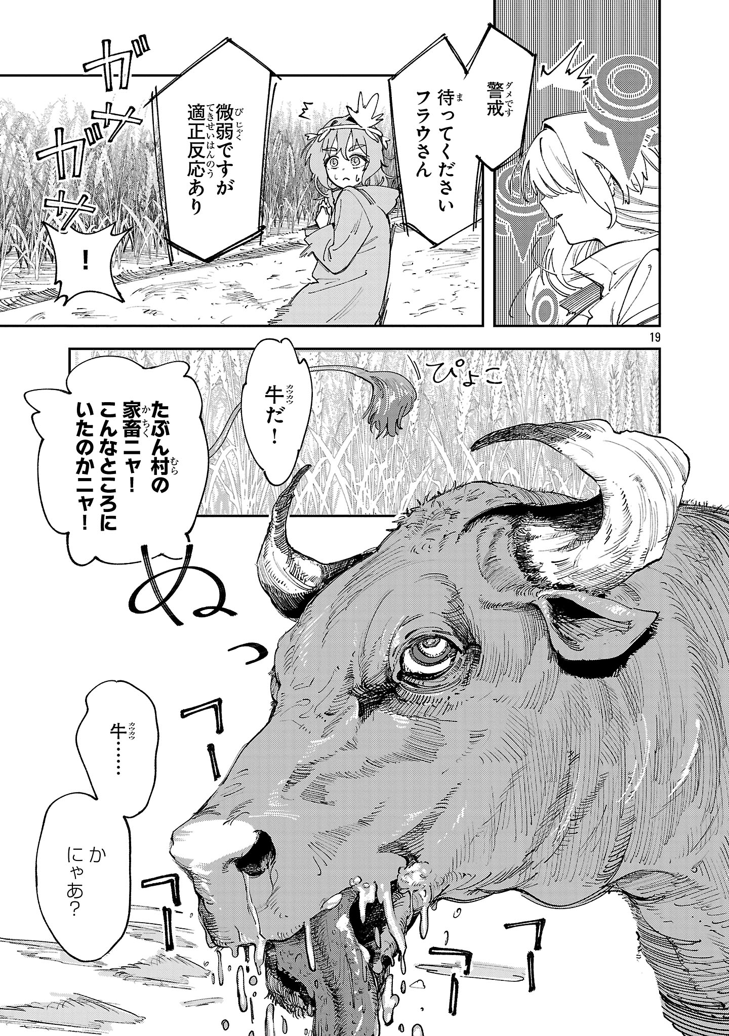 19