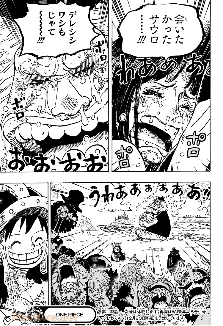 ワンピース - raw - 第1133.1話 - https://jpoo.bbcc.to/JPOO/1133100031026/a17.jpg